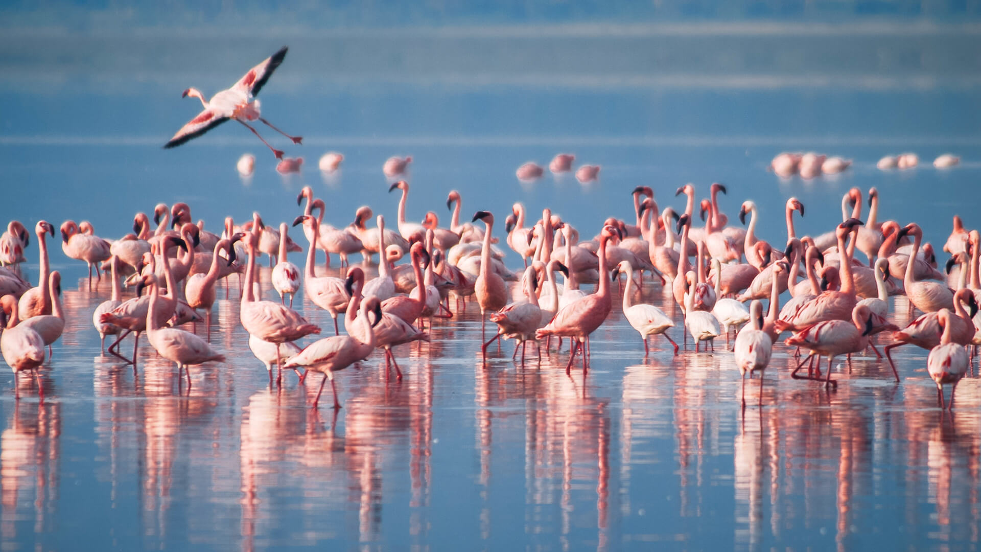 Lake Manyara