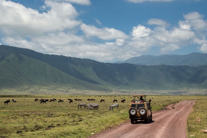 Private Safari