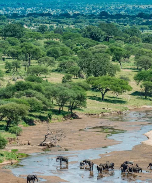 4 Day Tanzania Classic Safari