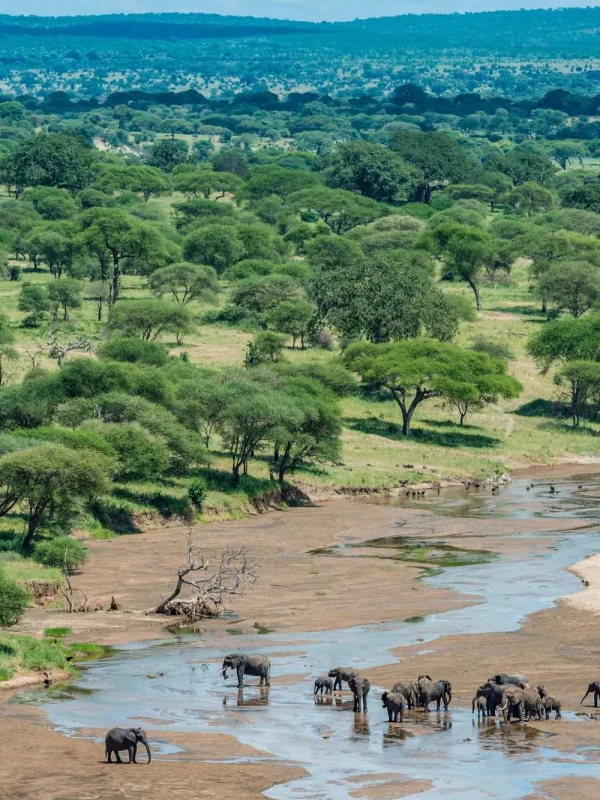 4 Day Tanzania Classic Safari