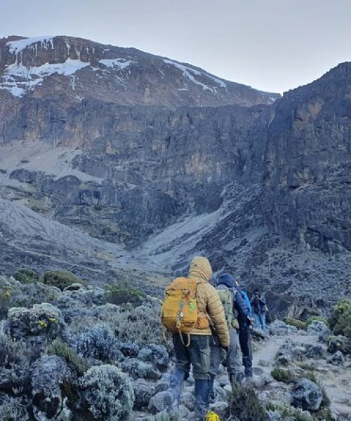 Machame-Route-Bnzif7Cv