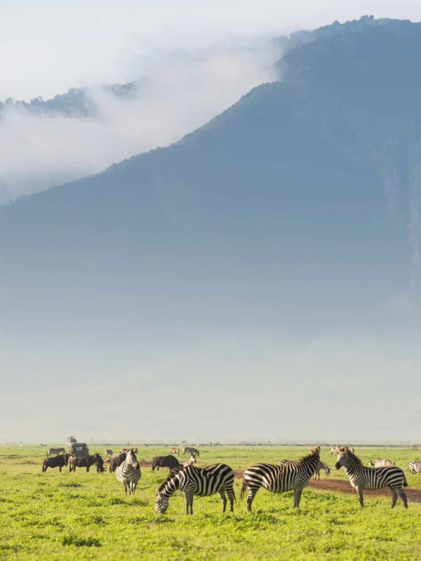 Ngorongoro-Crater (1)