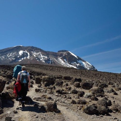 kilimanjaro-trekking--768x512